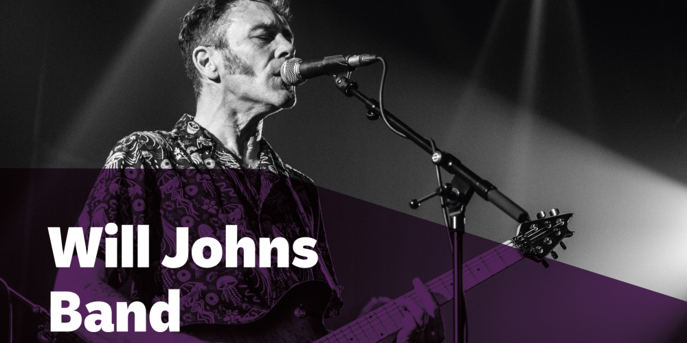 Will Johns Band (UK)