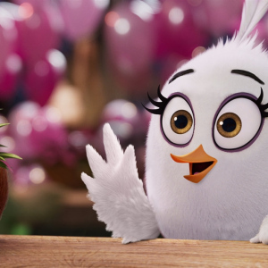 Angry Birds ve filmu 2