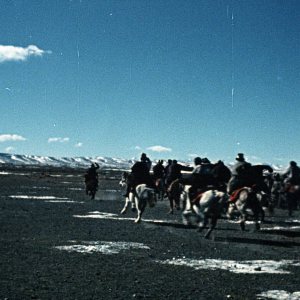 Cesta vede do Tibetu