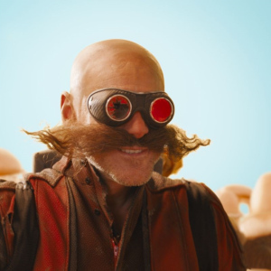 Ježek Sonic