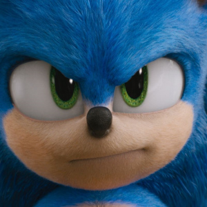 Ježek Sonic