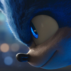 Ježek Sonic