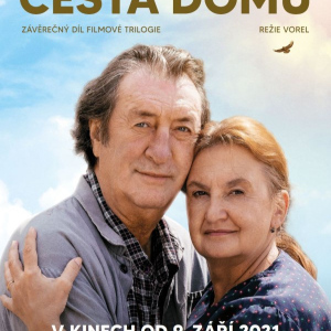 Cesta domů