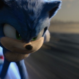 Ježek Sonic 2