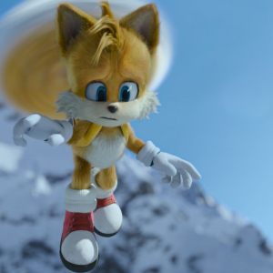 Ježek Sonic 2