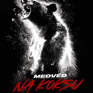 Medvěd na koksu