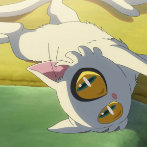 Suzume