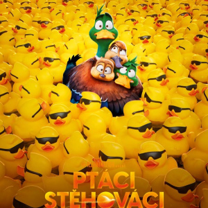 Ptáci stěhováci