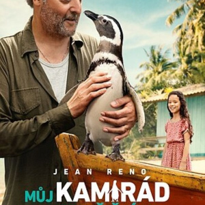 Můj kamarád tučňák