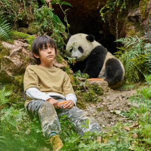 Panda a já