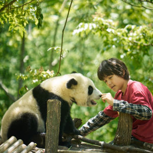 Panda a já