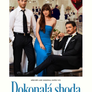 Dokonalá shoda 