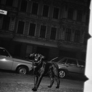 Ještě nejsem kým chci být