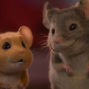 Myši v akci: Vánoční past