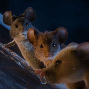 Myši v akci: Vánoční past