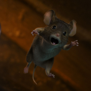 Myši v akci: Vánoční past