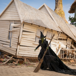 Čarodějka: Druhá část