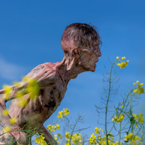 28 let poté: Chrám z kostí 