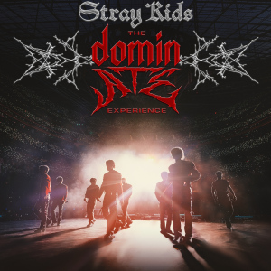 Stray Kids: The dominATE Experience