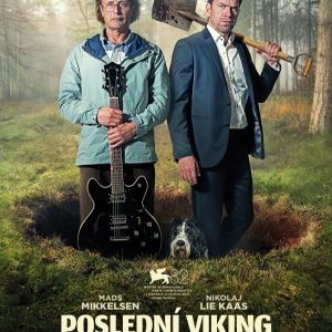 Poslední Viking