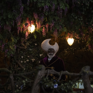 Příběhy Kouzelného stromu