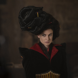 Příběhy Kouzelného stromu