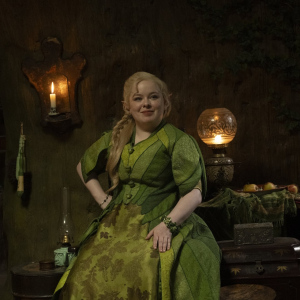 Příběhy Kouzelného stromu