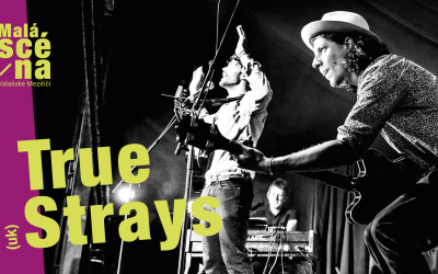 True Strays (UK)