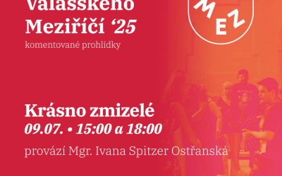 Komentovaná procházka městem