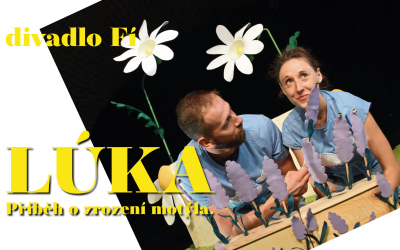 Lúka