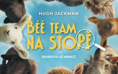 Béé team na stopě