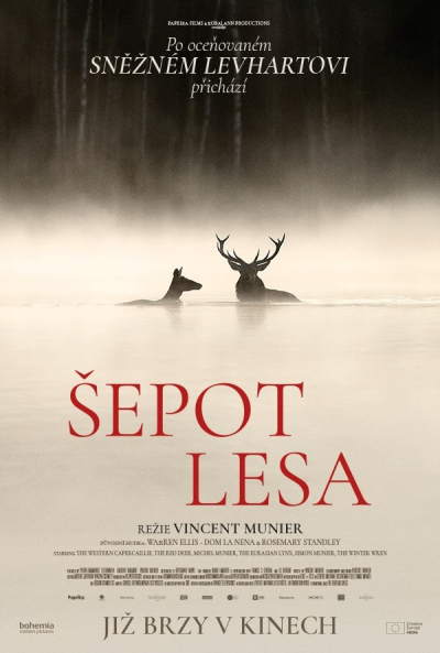 Šepot lesa