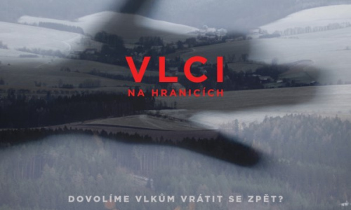 Vlci na hranicích