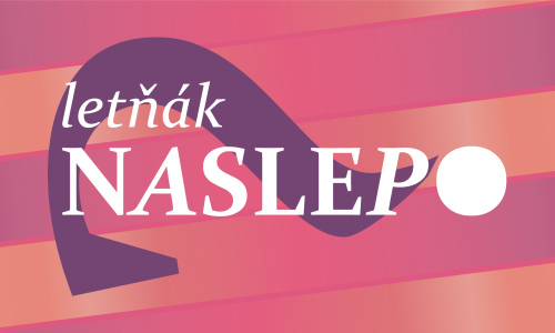 Naslepo pro dospělé