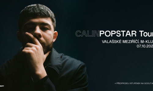 CALIN  - VYPRODÁNO