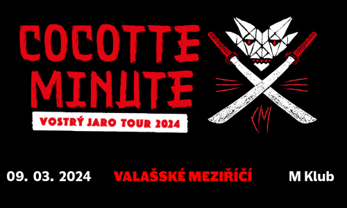 Cocotte Minute 