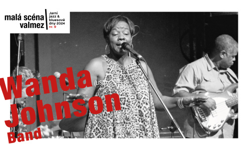 Wanda Johnson Band (USA)