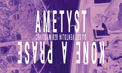 Ametyst + Koně a Prase 
