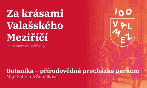 Botanika – přírodovědná procházka parkem