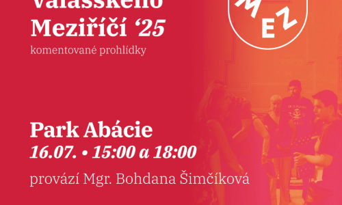 Komentovaná procházka městem
