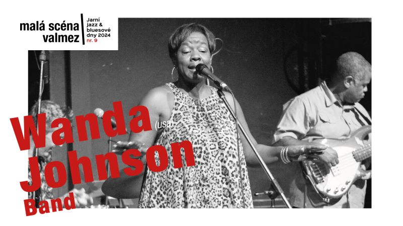 Wanda Johnson Band (USA)