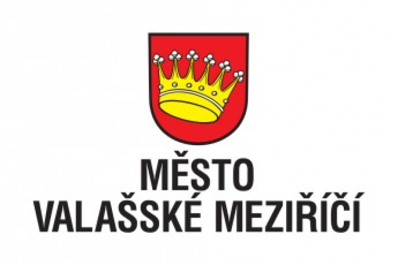SPOLEČNÉ SETKÁNÍ ZDRAVÉHO MĚSTA A FÓRA 2025