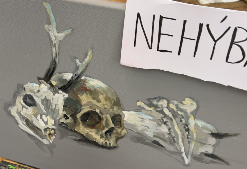 NESAHAT, NEHÝBAT