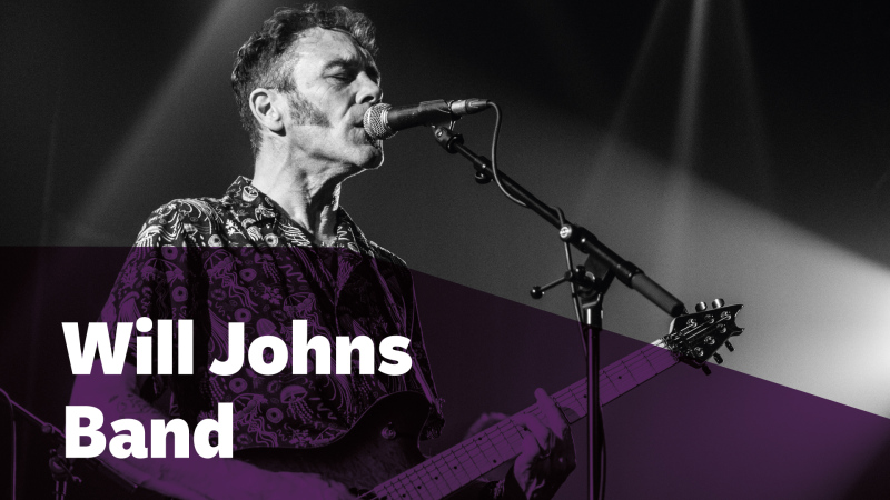 Will Johns Band (UK)